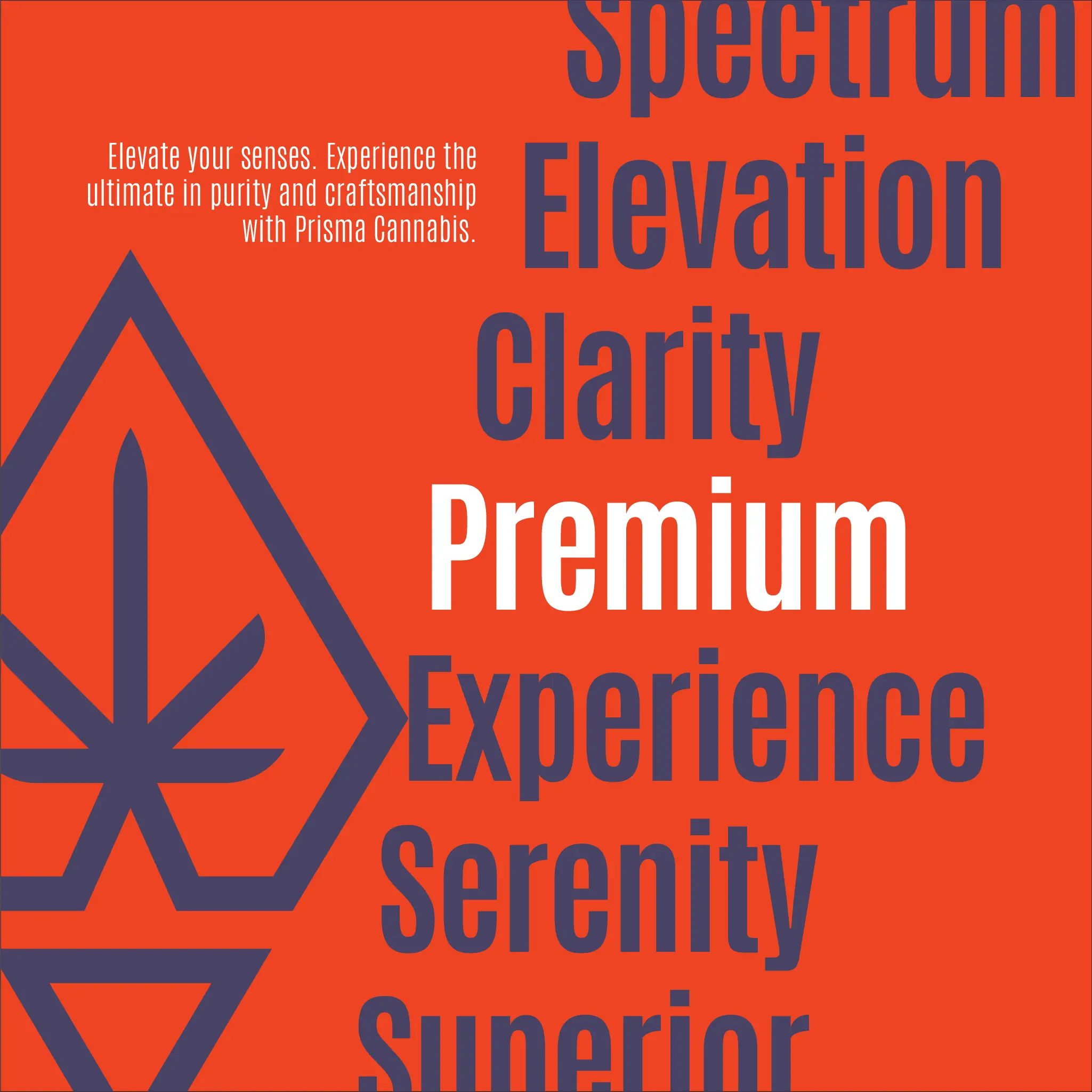 Prisma Cannabis - Brand Identity, Packaging